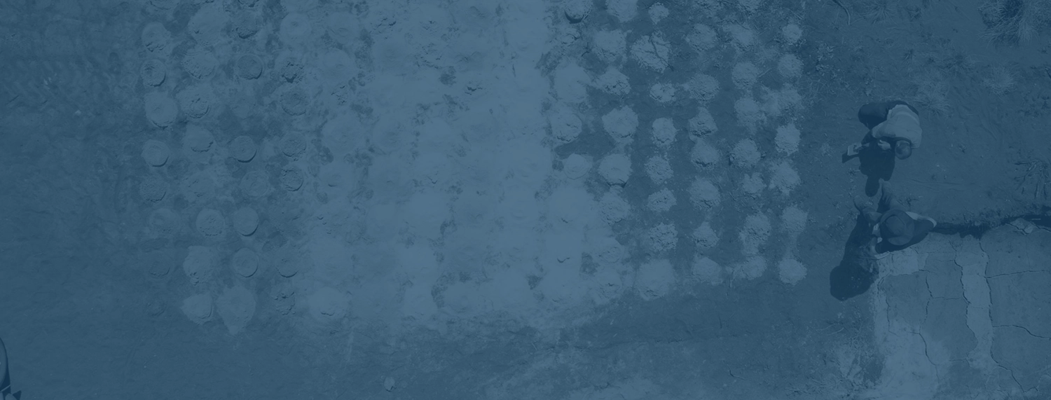 Yule River Project geological mapping